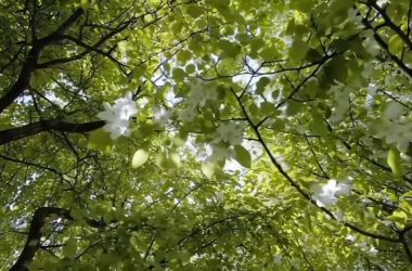 不必匆忙，好好生活就是答案-斐月の博客